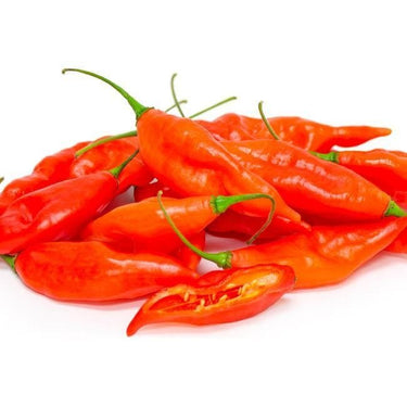 Hot Paper Lantern Pepper Seeds - The Pepper Pantry (Formerly Marie Sharp's)